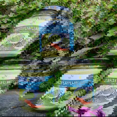 Bột cần tây sấy lạnh có nhiều công dụng