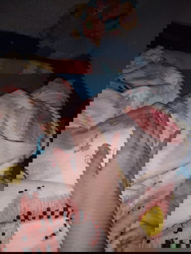 เมื่อหมาน้อยไม่สบาย