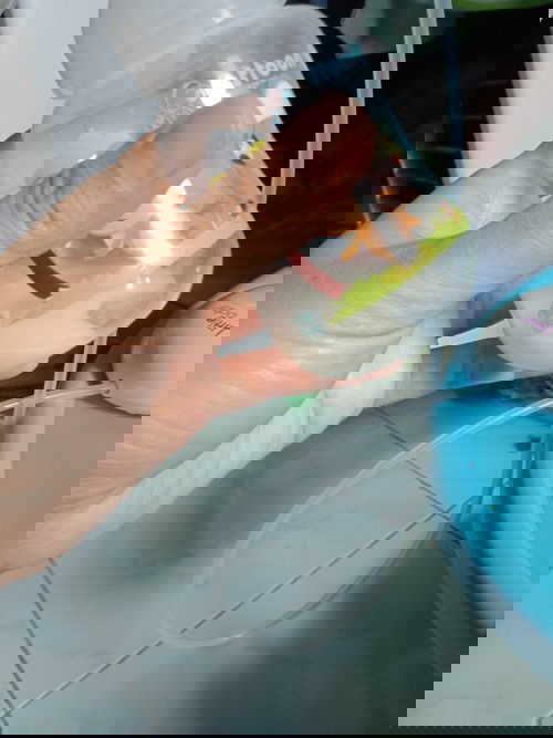 ลูกไม่เอาเต้าจริงๆแล้วสิน่ะ