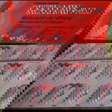 vitamin utk trimester 2 dan 3