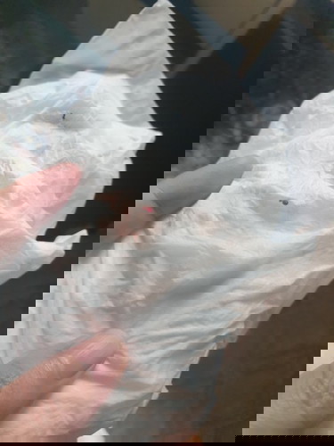 Little red spotting after pooping!!😰