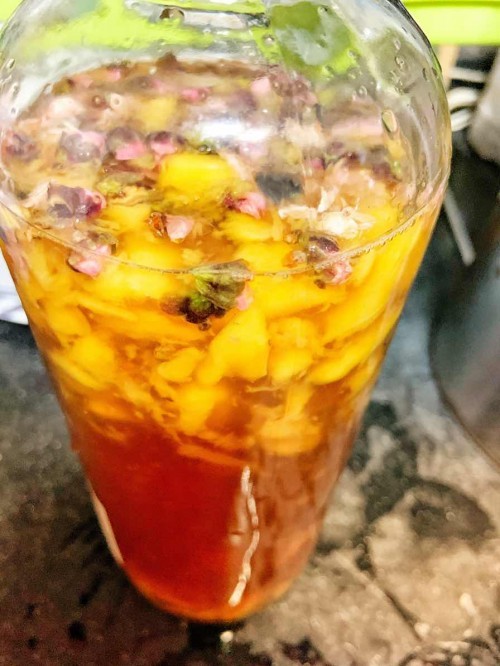 Kombucha F2