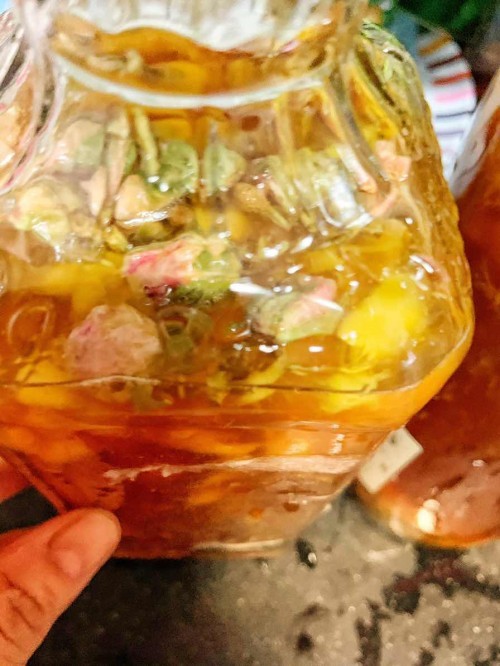 Kombucha F2