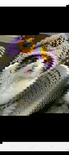 Light brown discharge