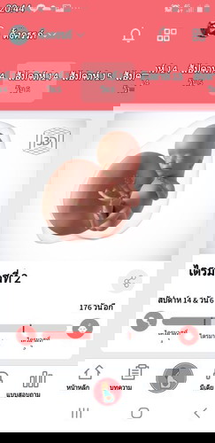 14+6 weekเเล้วรบกวนสอบถามหน่อยค่ะ