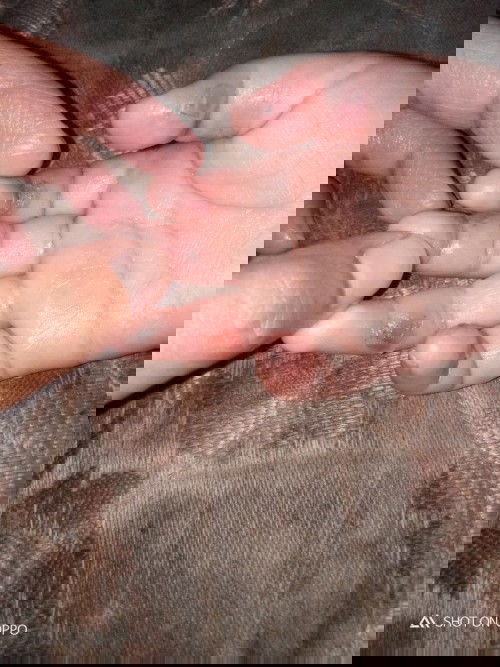 Solusinya dong bun 🙏