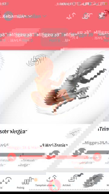 Dag-dig-dug menunggunya