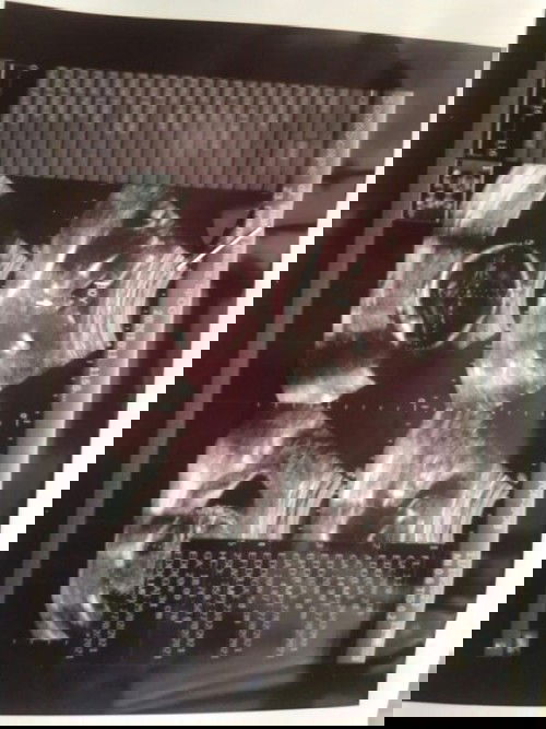 Gender janin bisa berubahkah?