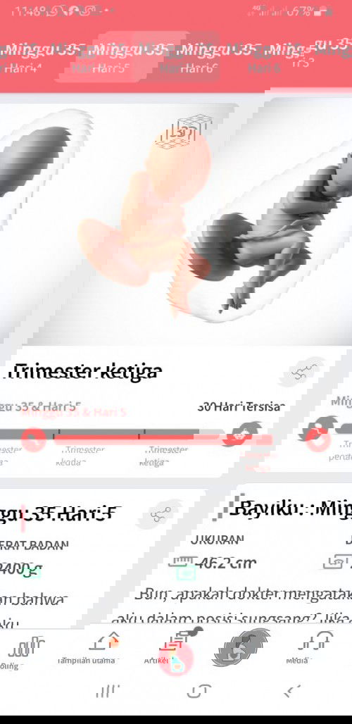 Blm mengalami konpal