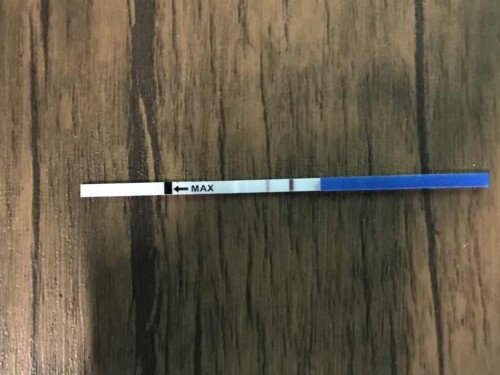 ตรวจหาไข่ตก