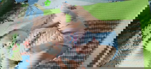 Makanan awal utk bayi