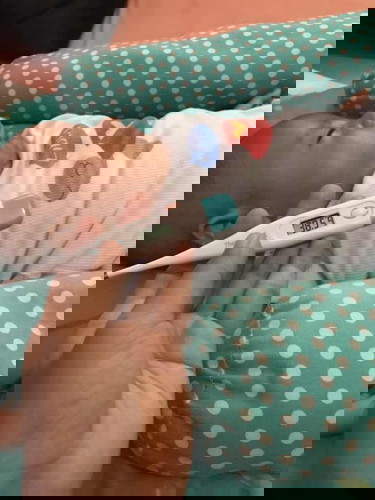 Usia 2bln full ASI badan anget.