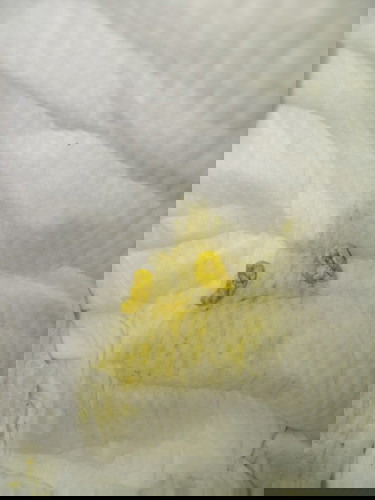 ควรเปลี่ยนนมไหมคะ?