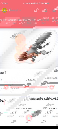 ทีมตุลาเป็นยังไงกันบ้างคะ