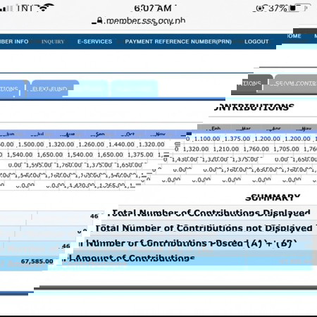Sss benefits contribution