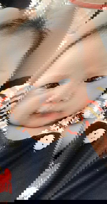 ลูกไม่พลิกคว่ำ