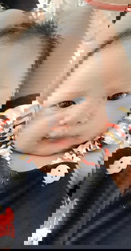 ลูกไม่พลิกคว่ำ