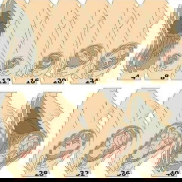 การเจริญเติบโตเเต่ละสัปดาห์ของทารกน้อยในครรภ์ 🤰♥️
#ทีมคนท้อง 

#ทีมคนท้องแก๊งโชว์ท้องป่องโชว์รูปลูก