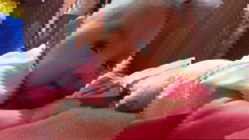 rabut ngk tumbuh rata