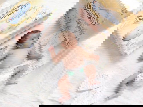 น้องพอดีเลิฟมามี่โพโค