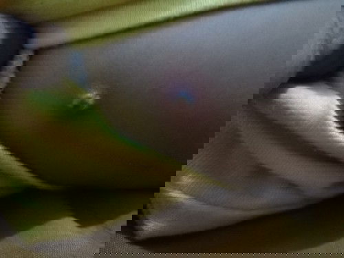 imunisasi kok jd gini