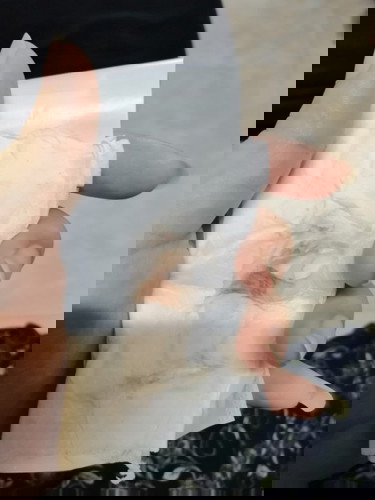 ปวดท้อง มีเลือดออก