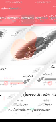 อยากรู้เพศ