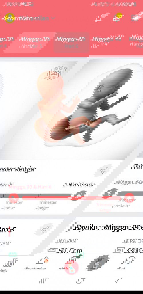 Bismillaahirrohmaanirrokhiim