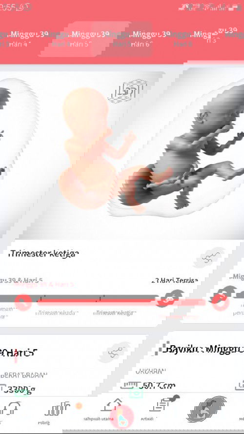 Berharap segera launching