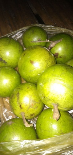 Buah genitu, manecu,apel umbel,sawo susu