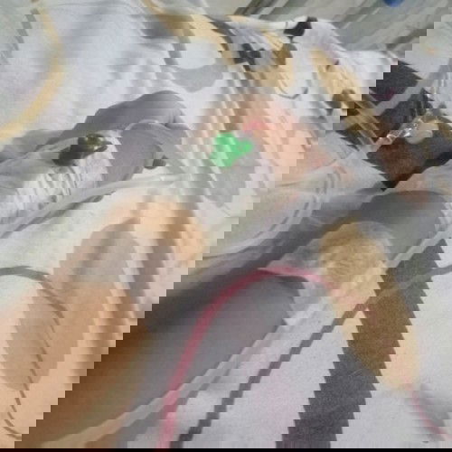 Please pray for me..