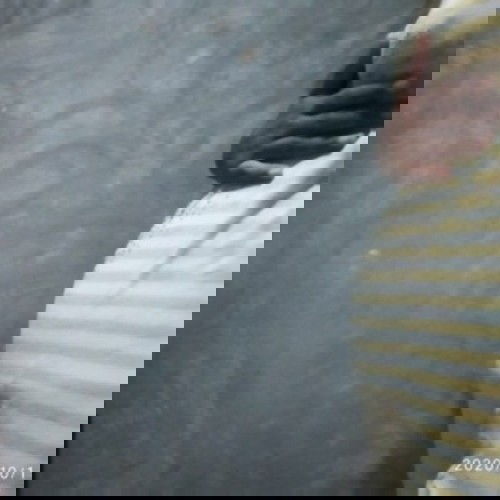 Perut kecil di usia 5 bulan