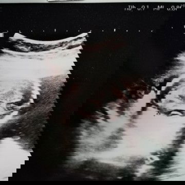 มีใครมองออกไหมว่าเป็นเพญไหน​ ช​ รึ​ ญ