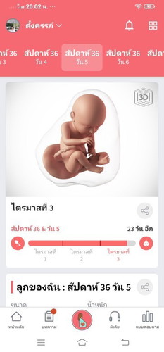 ทีมคลอดพฤศจิกายน