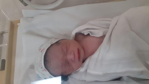 Pengalaman induksi dan hampir sc