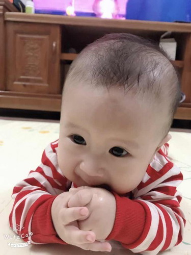 🤓🤓🤓 các mom cho e hỏi 10 ngày nữa con e đc tròn 5 tháng e tập cho con ăn dặm đc chưa ạ