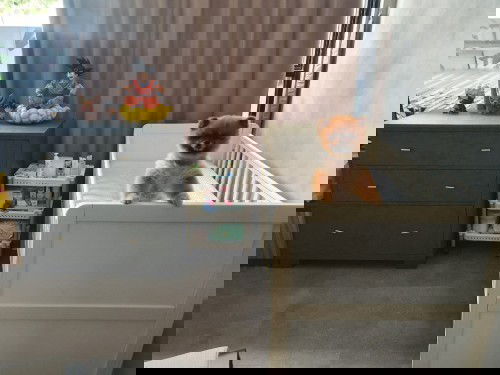 perlengkapan bayi siap saat hamil brp bulan?