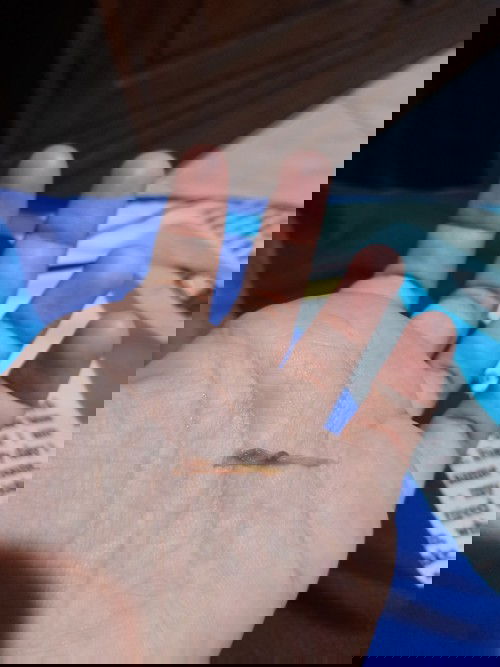 benang pasca melahirkan