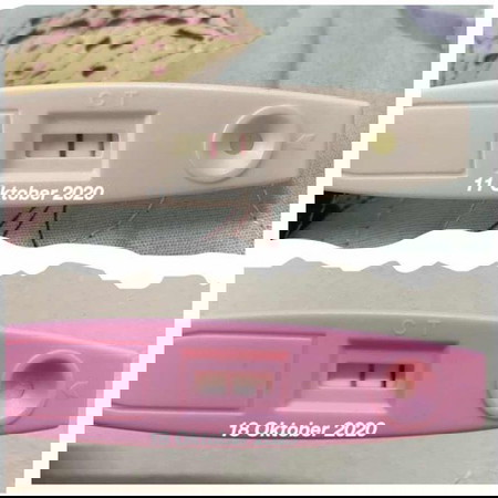 Last Period 10/9/2020