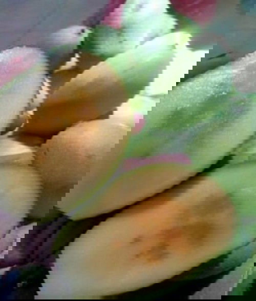 Mangga madu manalagi