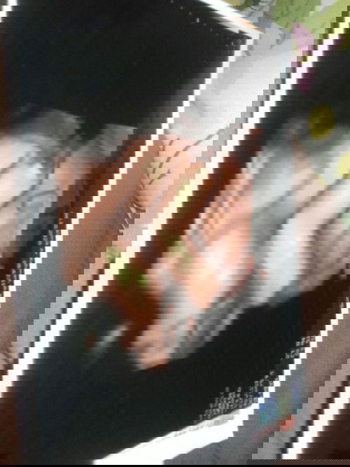 Usg 4 G buat pertama kali