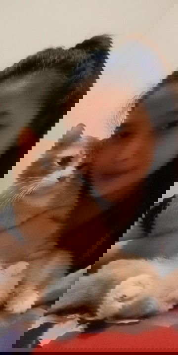 hamil tapi pelihara kucing