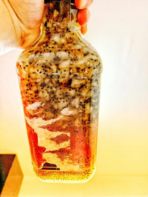 Kombucha F2