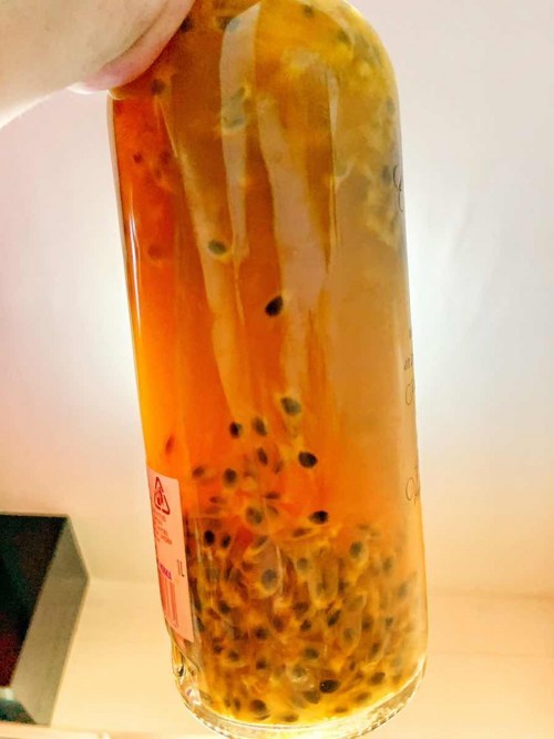 Kombucha F2