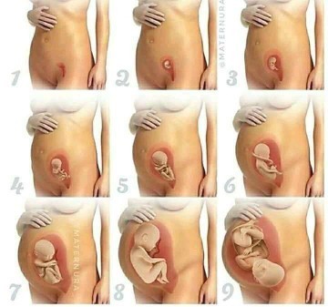 7weeks At 4days pumipintig naba c baby sa tyan๐๐