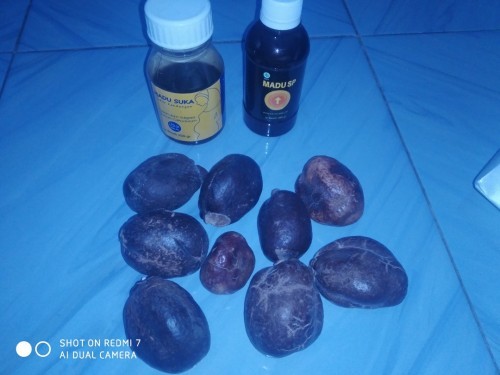 Buah dzuriyat dan madu