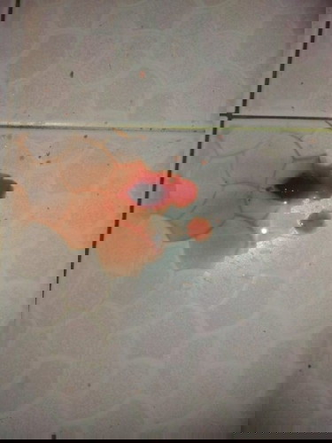 นี่คืออะไรค่ะ