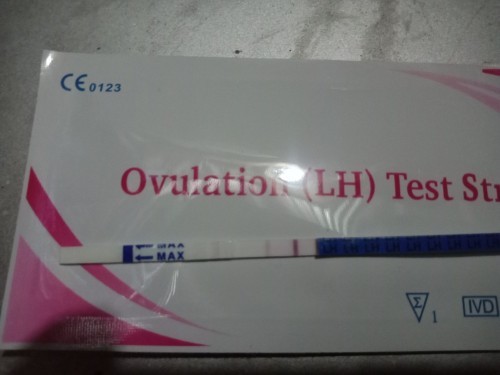 ovulation test