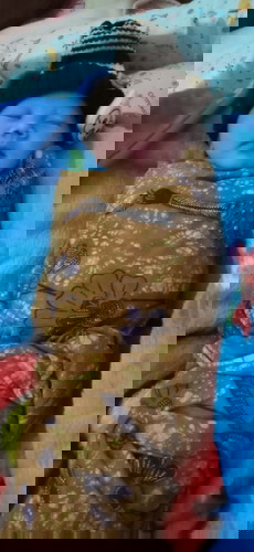 Alhamdulillah baby girl launching