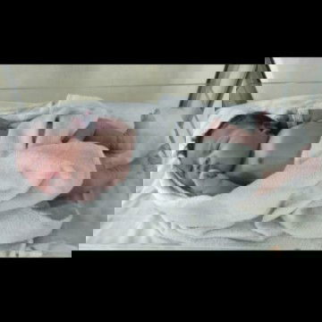 HPL dokter lewat 4hari, HPL bidan kurang 8hari